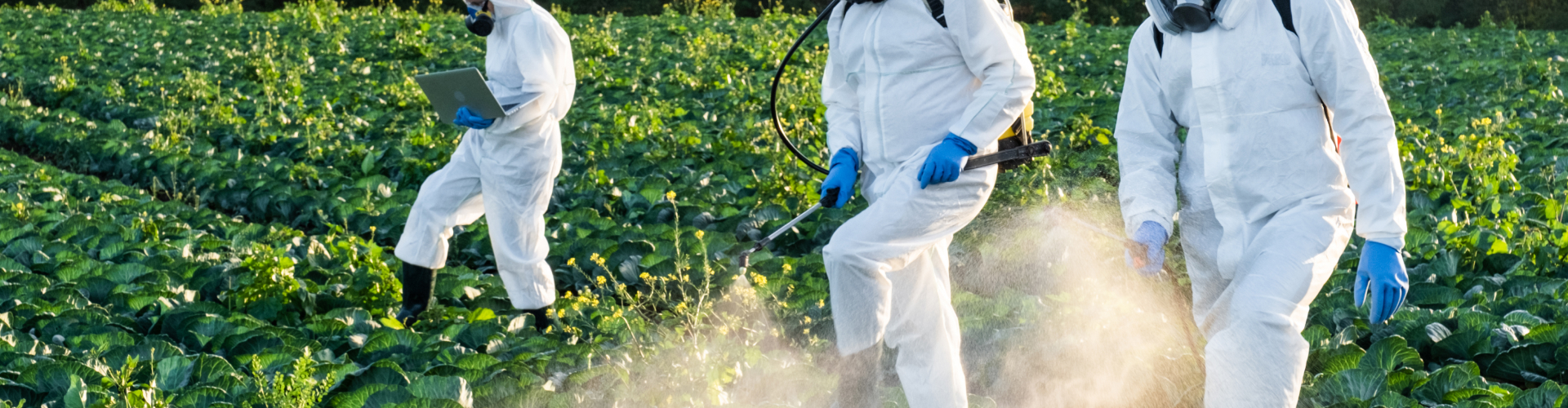 Organic and Biological Controls of Pests and Disease