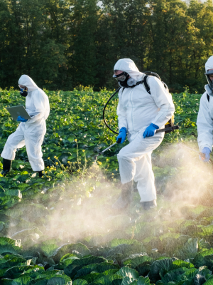 Organic and Biological Controls of Pests and Disease